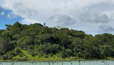 Rancho do Guila Pesca & Diversão Corumbá 3 - Foto 1