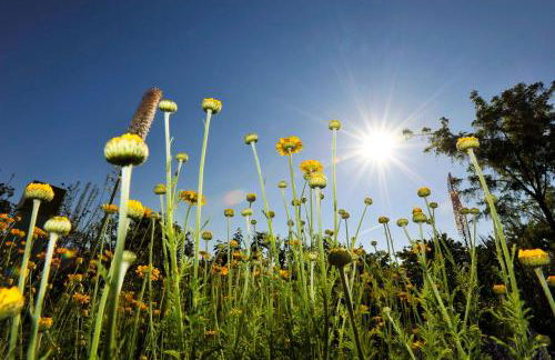 Ferienwohnungen im Fischerdorf und - Foto 11