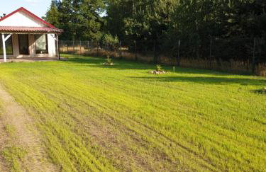 Domki Letniskowe Między Jeziorami w Lipnicy - Foto 13