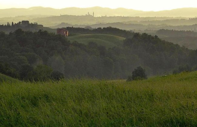 Rustic Escape With Pool - Foto 39