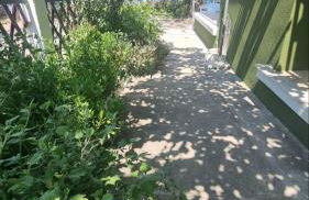 Olivendra Thassos - Photo 41