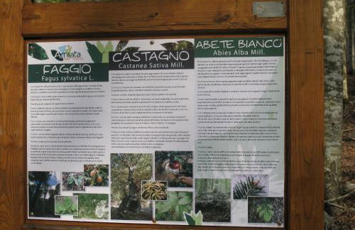 Casa nel bosco alle Macinaie - Foto 29