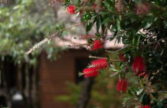 Alma do Pico - Nature Residence - Photo 62