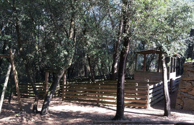 Mas Fuselles - Photo 20