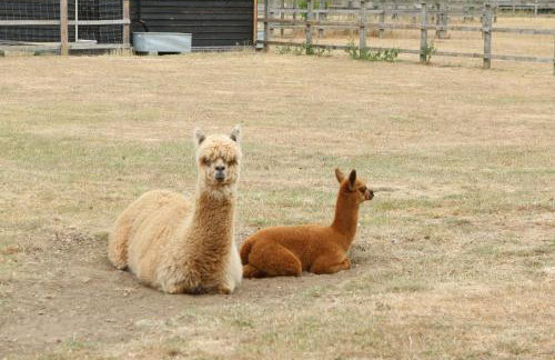 Waterside Lodges Cambridge - Foto 45