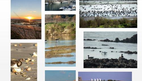 ILE DE RE, LA DANAE, VELOS, WIFI, CUISINE, LINGE, PARKING gratuit - Foto 5