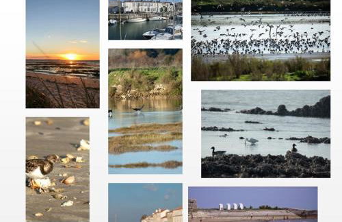 ILE DE RE, LA DANAE, VELOS, WIFI, CUISINE, LINGE, PARKING gratuit - Foto 5