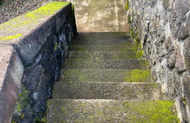 Adega Baia do Canto AL 1398 - Photo 13