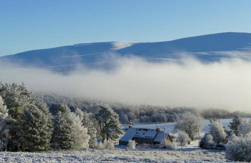 Easter Lettoch - Foto 21