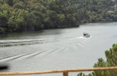 Quinta da Ribeirinha - Douro River - Foto 45