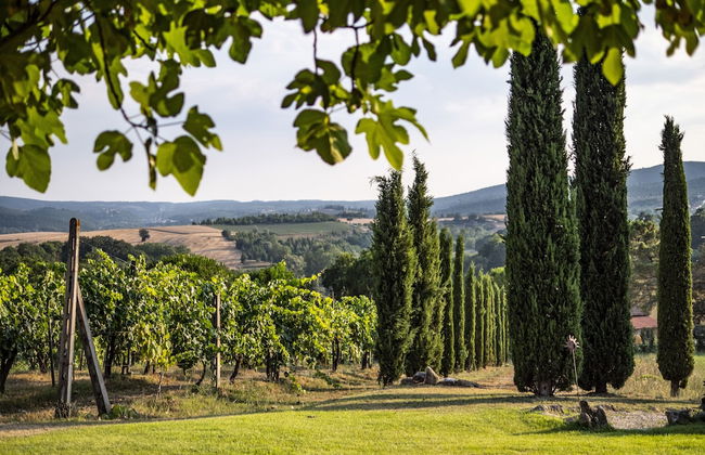 Country House Villa Rey - Foto 22