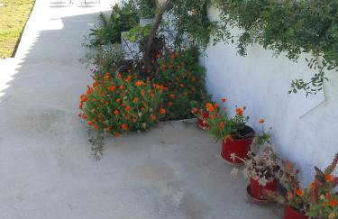 Studios ΣΤΟΥΣ ΠΥΡΓΟΥΣ ΘΕΡΜΗΣ - Foto 57