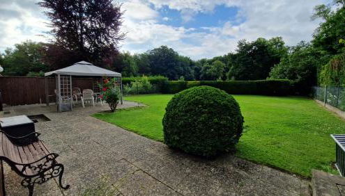 Pension am Schloss - Foto 2, Garden