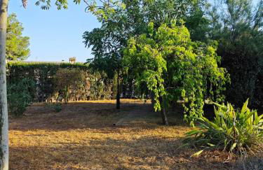 Beautiful home with spacious land in San Vicente - Photo 6