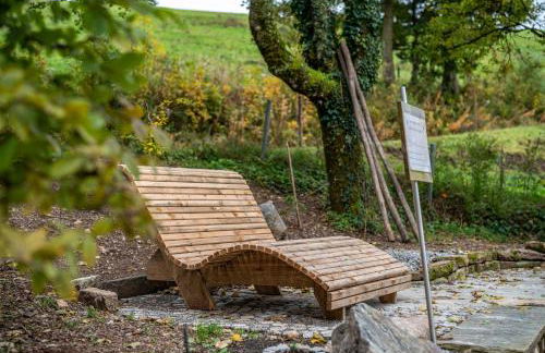 Schwarzwald Chalet - Karlshütte - Foto 31