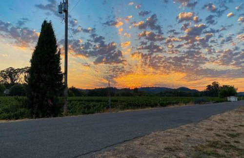 Magnolia Ranch Vineyards - Foto 26