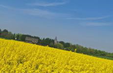 Parva Domus - Foto 73