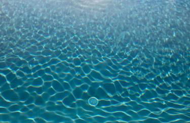 Maison de la Porte des Loups dans le Ventoux - Foto 37