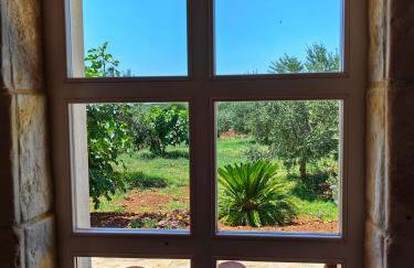 NEW 2023 Villa Tree of Life - Photo 78