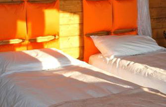 Ecolodge Langhe - Foto 16