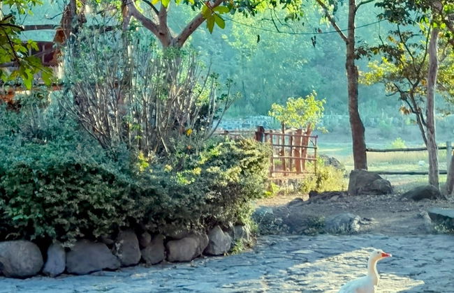 Rancho con Caballos El Reencuentro - Foto 62