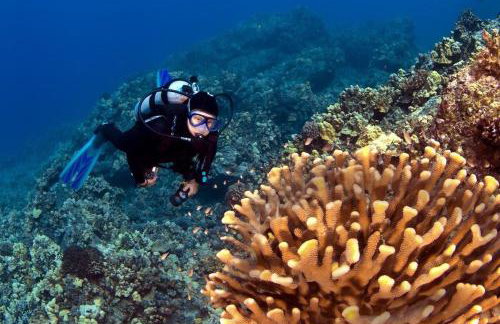 Paki Maui 217 · PM 217 Cozy 1BR Oceanfront Condo w Pool - Foto 54