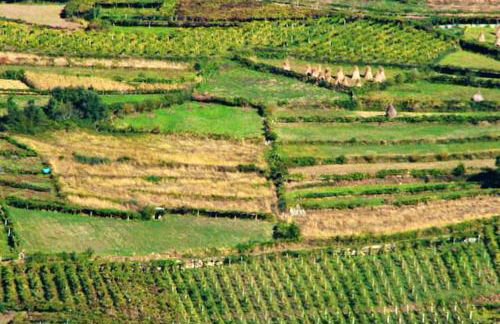 Charming Country House in Riba de Mouro, Fireplace - Foto 20