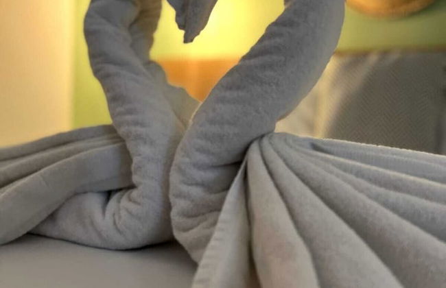 Hotel Fazenda Vale da Cachoeira - Photo 10