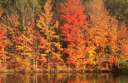 3 bed Lake Sammamish Waterfront + Peloton Bike - Foto 70