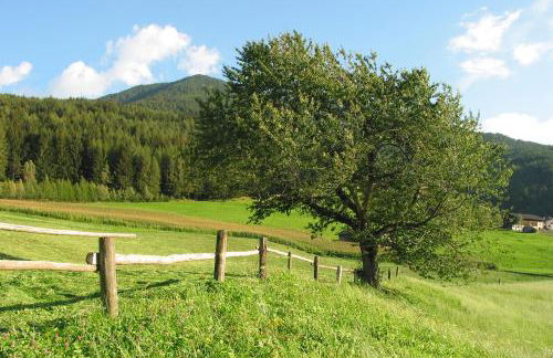 Spisserhof - Photo 38