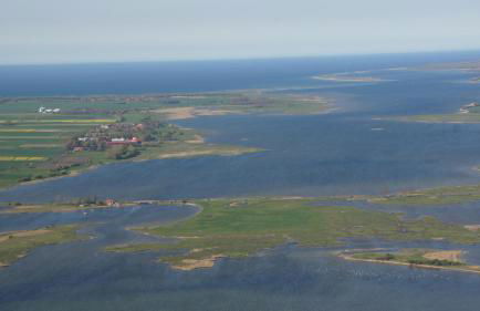 Ferienhaus Strandmuschel am Ostseestrand Zierow - Photo 31