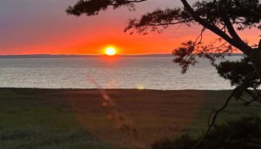 Domki na Skarpie - Wypoczynek z widokiem na Zalew - Frombork - Foto 2