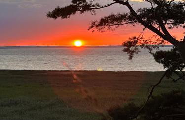 Domki na Skarpie - Wypoczynek z widokiem na Zalew - Frombork - Foto 2