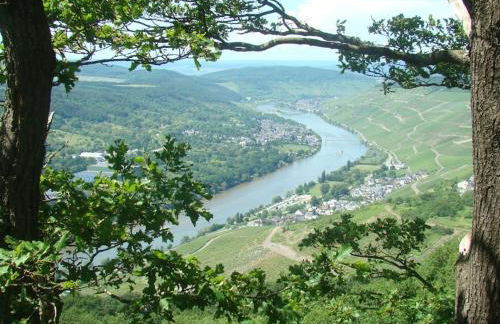 Ferienwohnung Moseltor - Foto 44