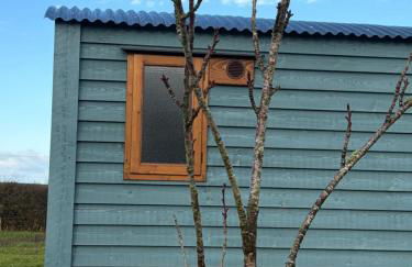 Ty Beti at Gorlan yr Efail Shepherds Hut with Private Hot Tub - Foto 45