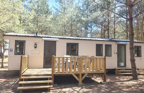 Holenderki na Zielonych Wzgórzach, Łowyń - Foto 37