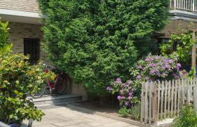 Erftmündung - Foto 17