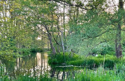 LüttelHome, moderne Ferienwohnung im Grünen mit Highspeed-Glasfaser - Foto 6