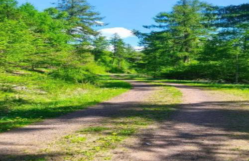 Hill-view Holiday Home in Dankerode near Lake and Hiking - Foto 79