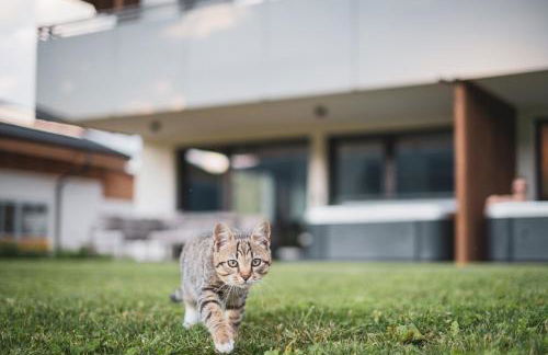 Sottla - your mountain home - Photo 7