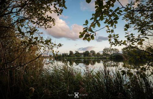 La Grande Pommeraie - Foto 48