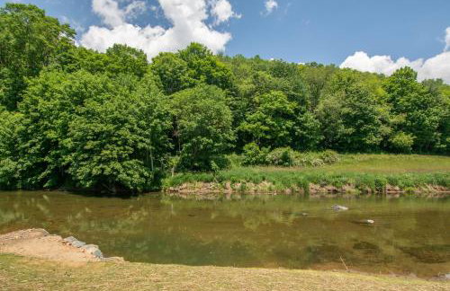 Cozy Cabin Right on the New River in Todd - Easy River Access - Fire Pit - Photo 23