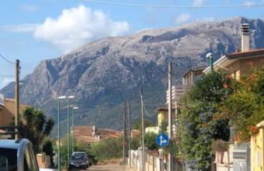 Under the Lemon Tree - Foto 19