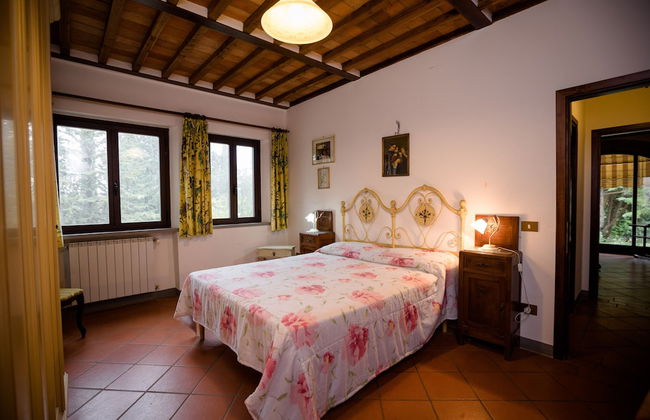 Fattoria Sant'Andrea - Photo 11