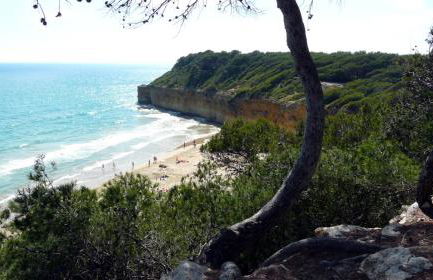 Calipso Tamarit - Foto 62