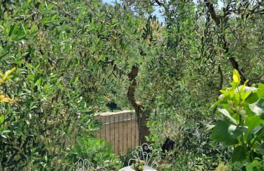 Florinda Lemon's Suite - Foto 32