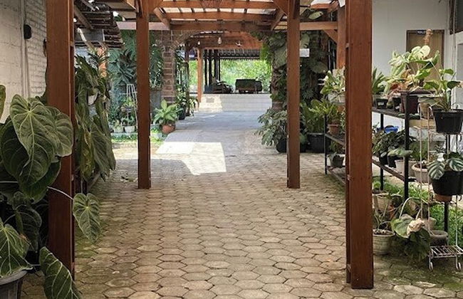 Annet Homestay - Foto 34