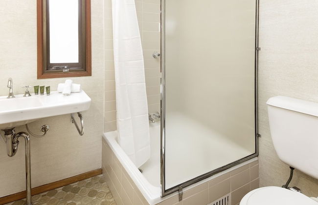 Grey Kangaroo- On Lake Jindabyne foreshore - Foto 17