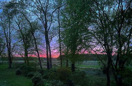 Arboris - Retreat into the open - Photo 25