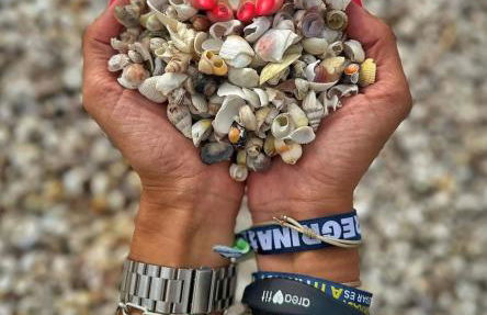 La Majorera - Foto 47